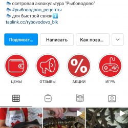SMM продвижение бренда аквакультуры «Рыбоводово» в Instagram