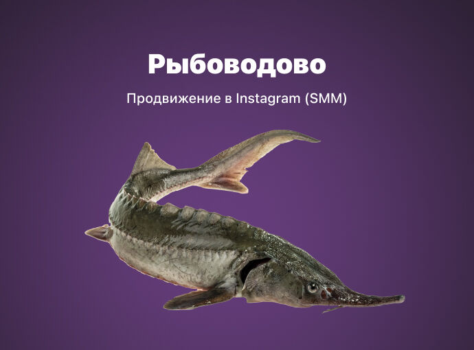 SMM продвижение бренда аквакультуры «Рыбоводово» в Instagram