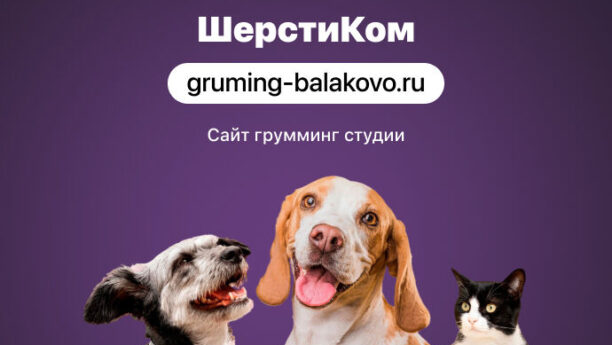 Сайт и фирменный стиль для студии «ШерстиКом»